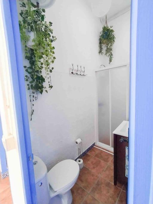 “Flor De Sal” Charming Traditional Andalusian House Аямонте Экстерьер фото